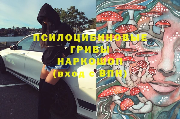 a pvp Алзамай